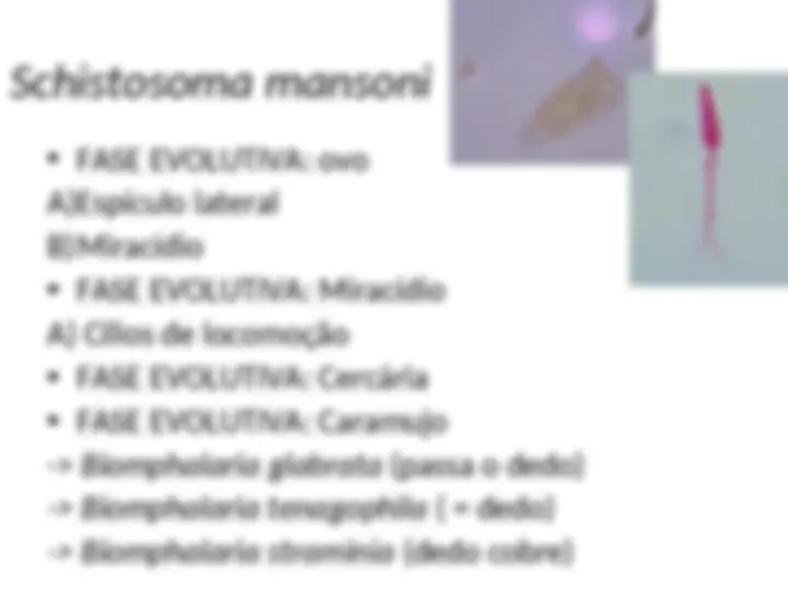 pf16