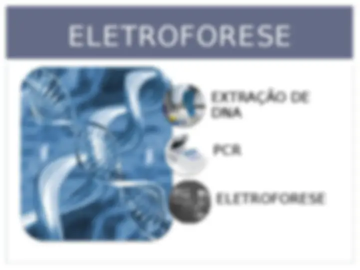 pfe