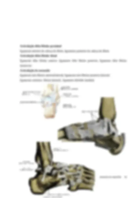 pf2a