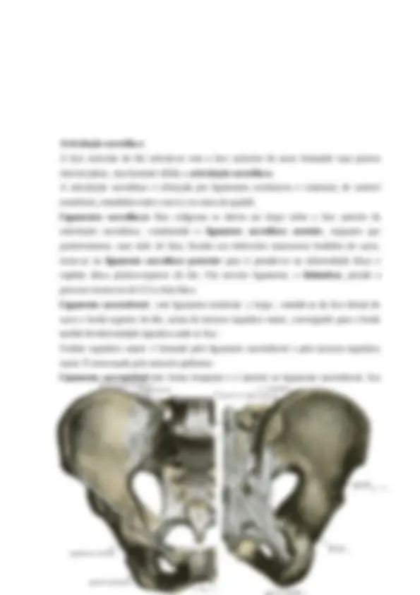 pf49