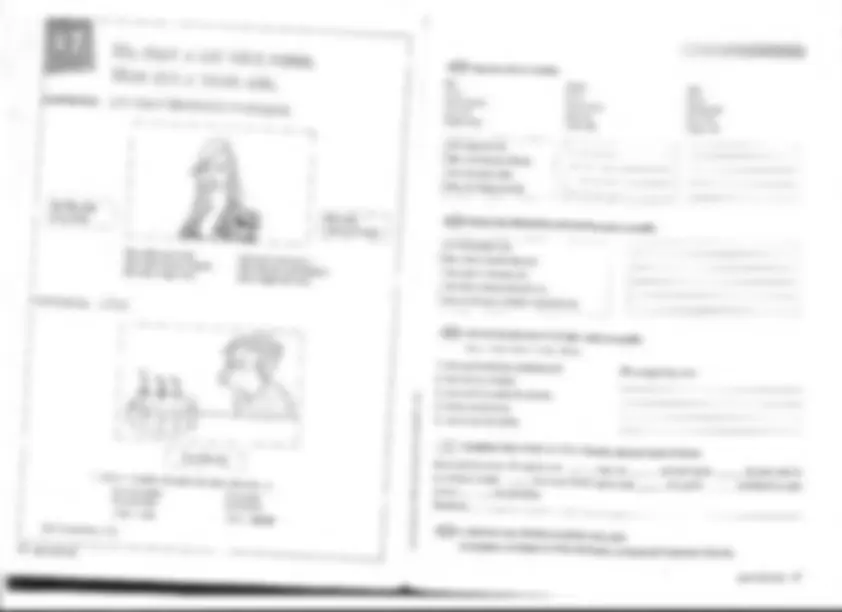 pf19