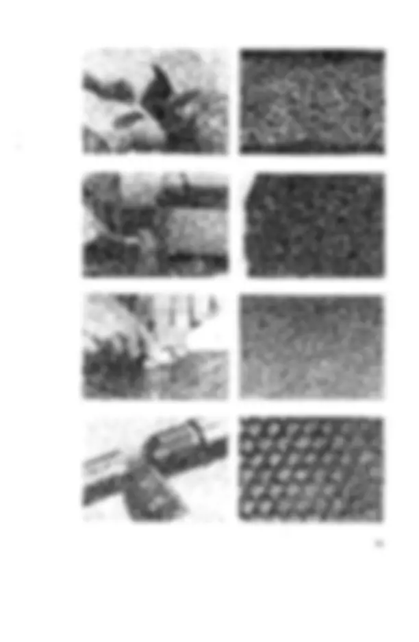 pf1b