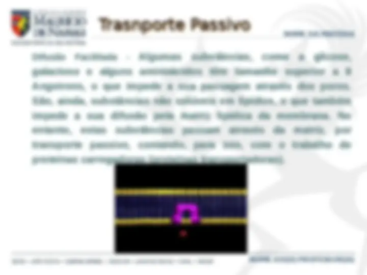 pf5