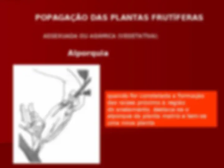 pfd
