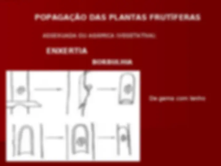 pf23
