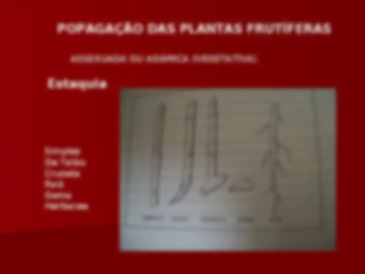 pf5