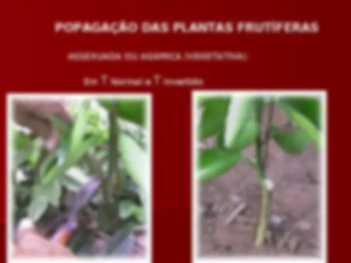 pf14