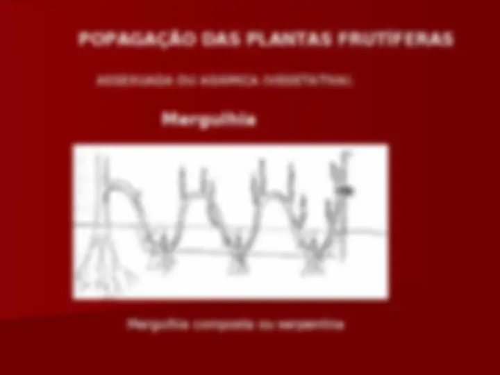 pfa