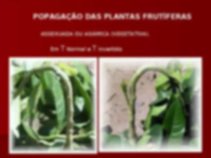 pf13