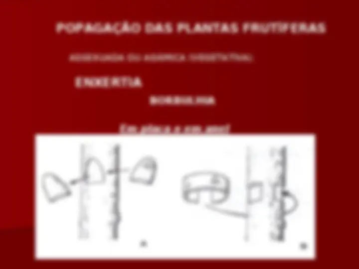 pf21