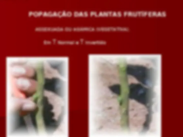 pf12