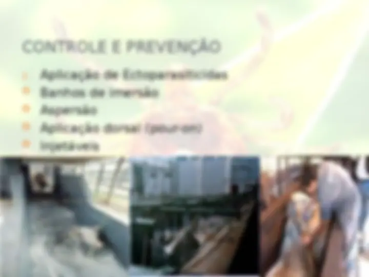 pf17