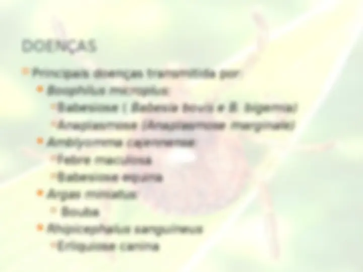pf12