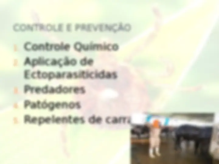 pf14