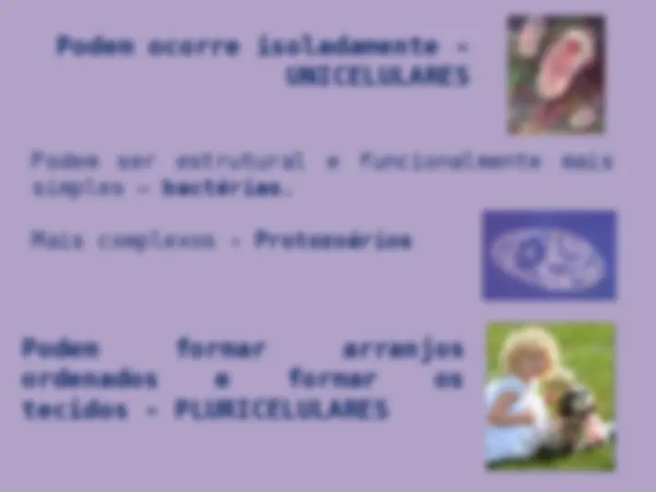 pf4