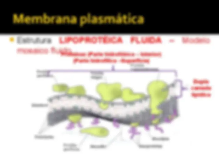 pf3