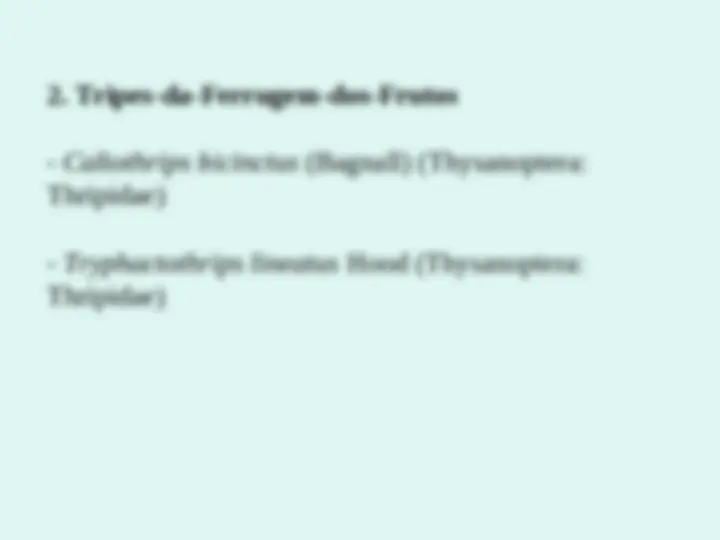 pf13