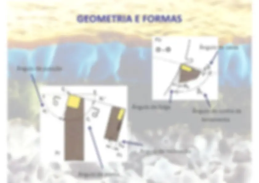 pf19