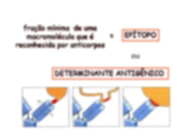 pf4