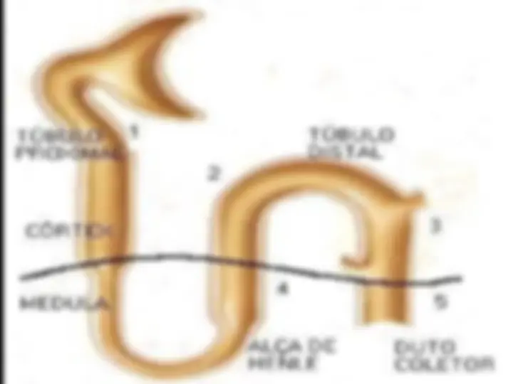 pf8
