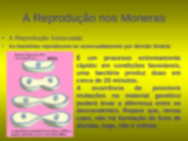 pf13