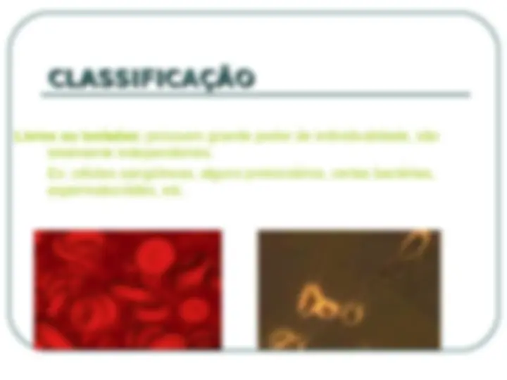pf13
