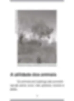 pf13