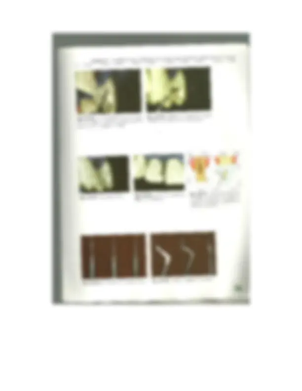 pf3b