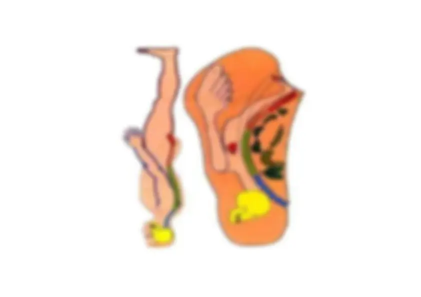 pf2d