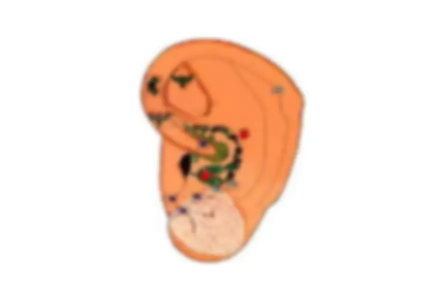 pf2c