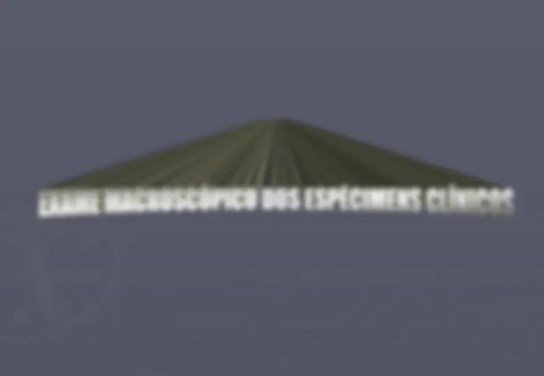 pf3e