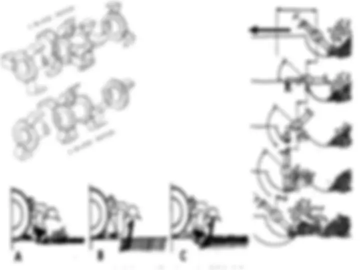 pf44