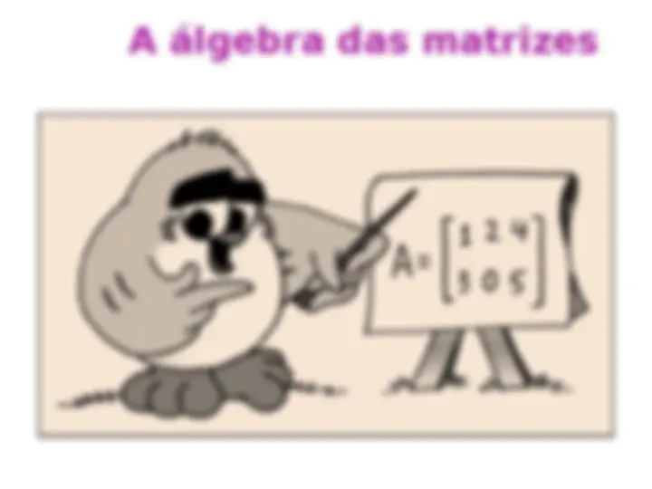 pf13