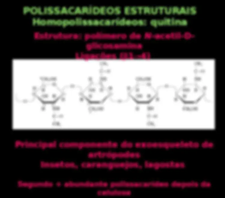 pf13