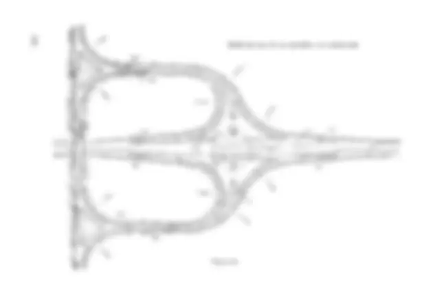 pf1c