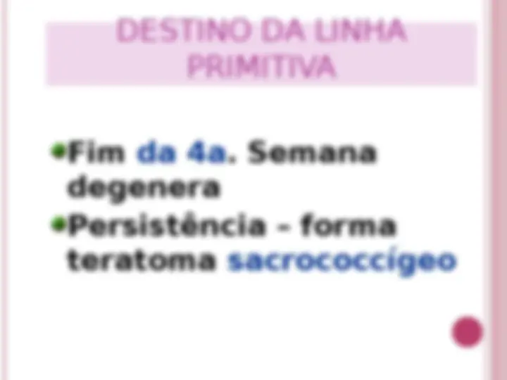 pf17