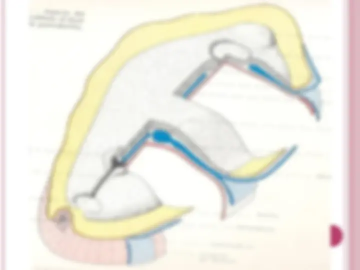 pf1c