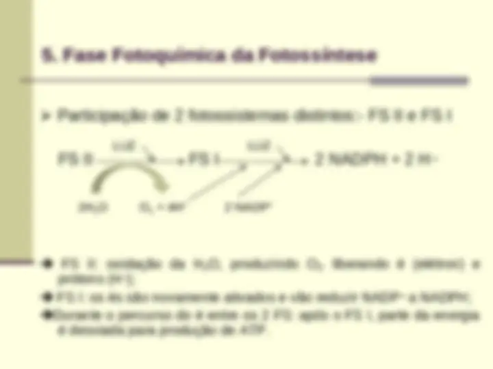 pf1c