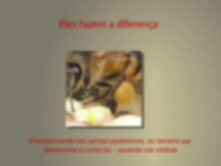 pff