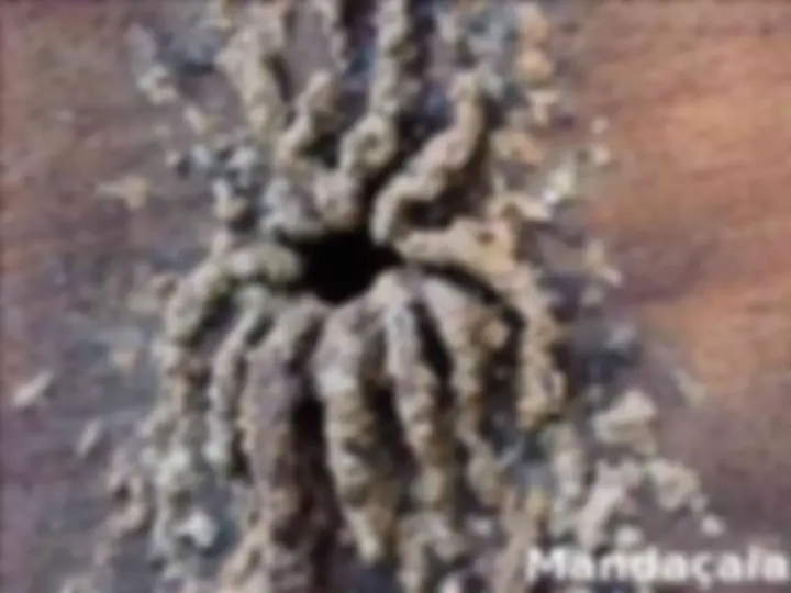 pf13
