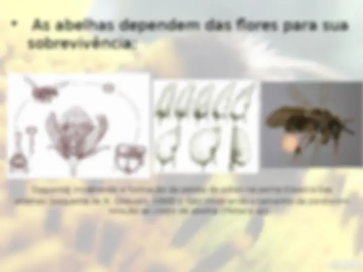 pf4