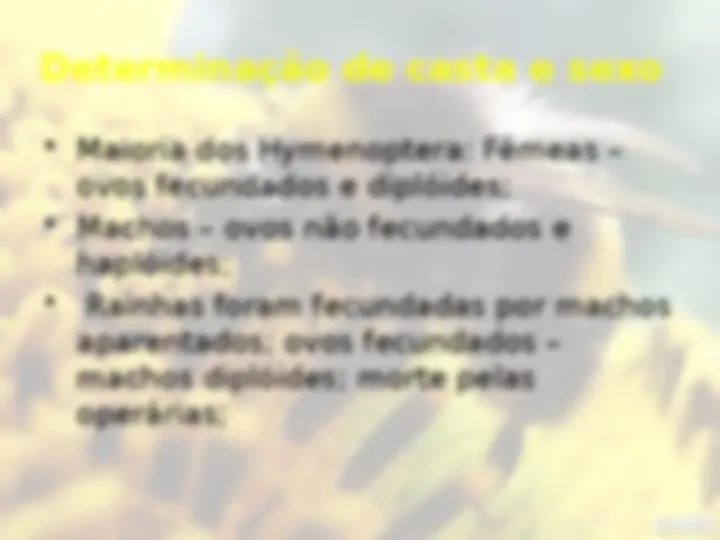 pff