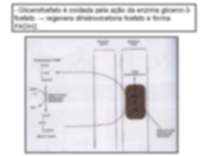 pf27