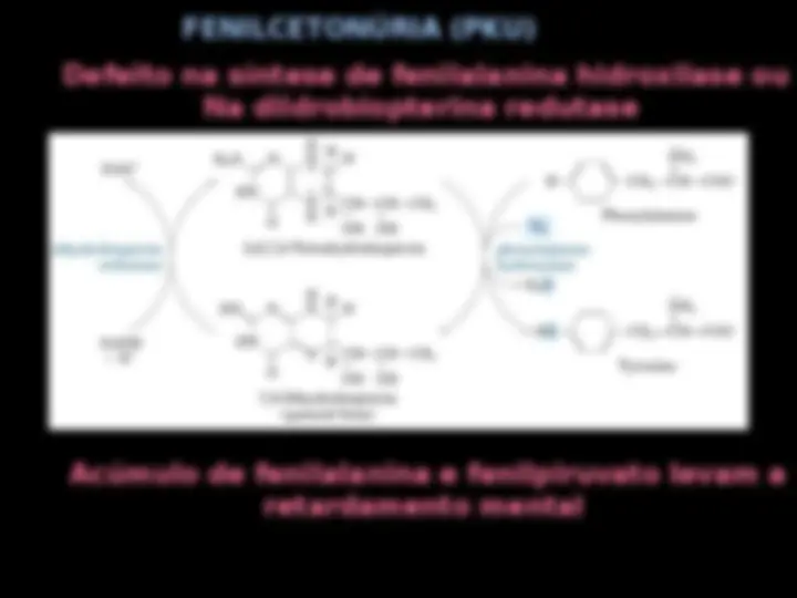 pf12