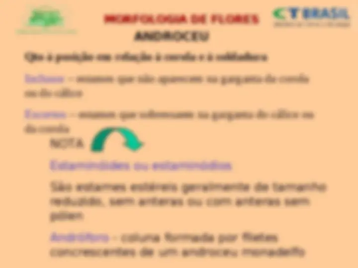 pf23