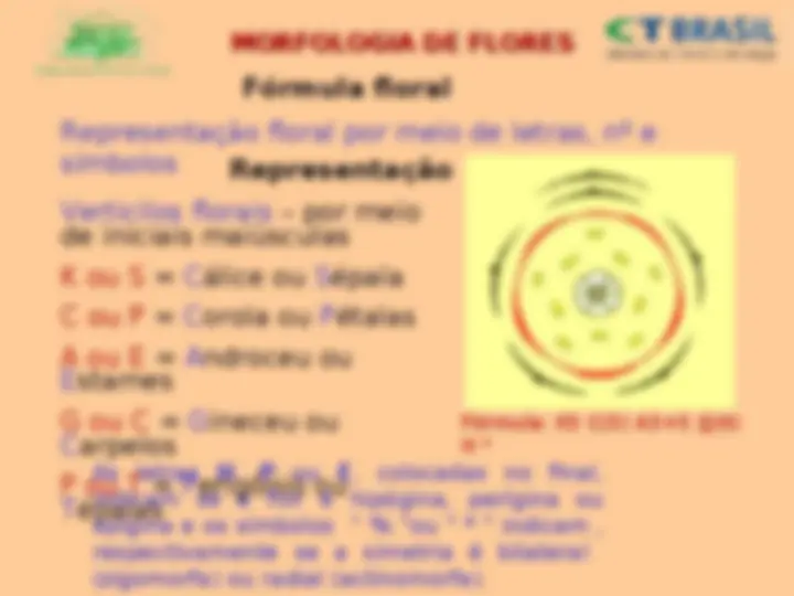 pf44