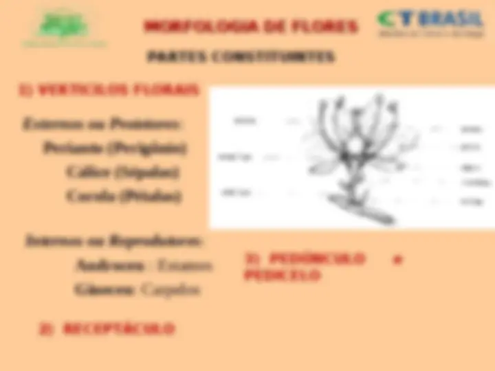 pf3