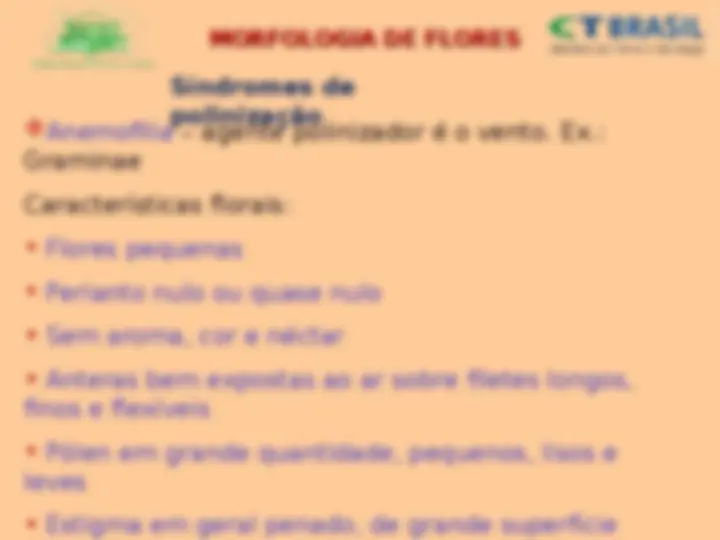 pf4d