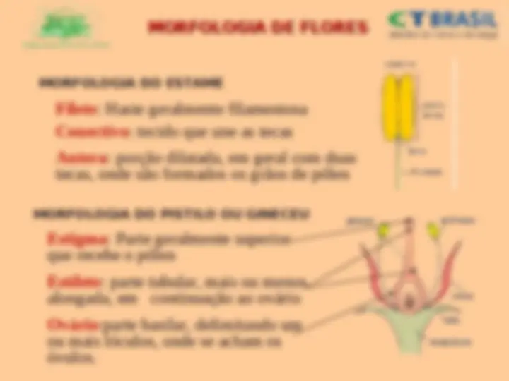 pf4