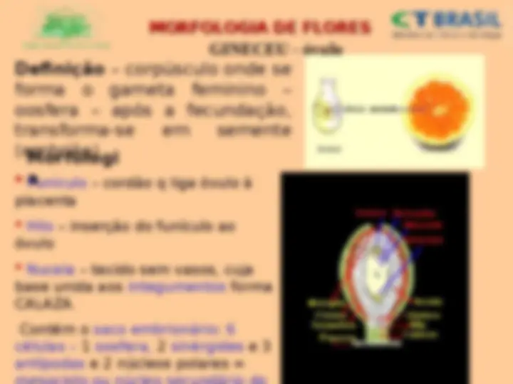 pf2e